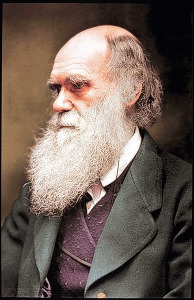 Дарвин Чарльз Роберт (1809 – 1882)