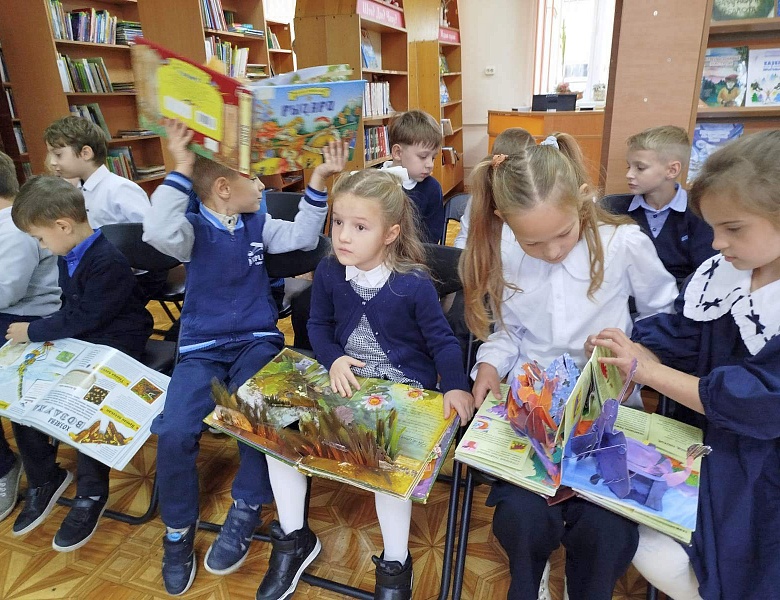 В тридевятом царстве, в библиотечном государстве