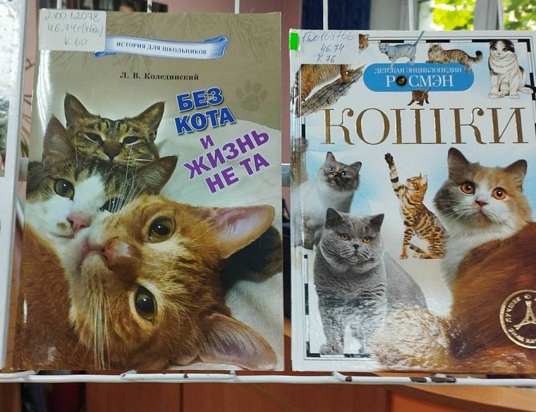 Выставка в юношеском отделе ко Всемирному дню кошек