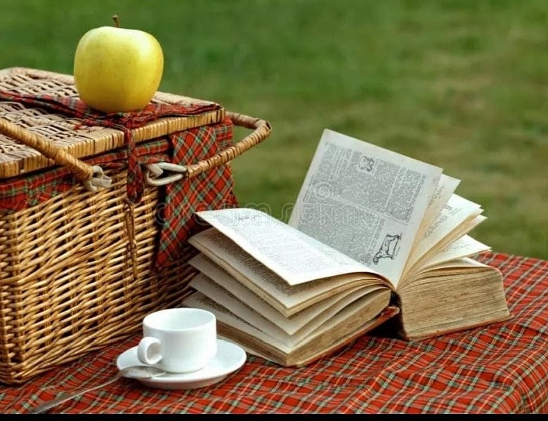 Пикник в библиотеке