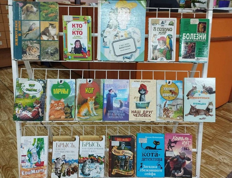 Выставка в юношеском отделе ко Всемирному дню кошек