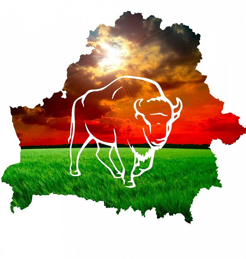 «Мая краiна — мой гонар!»: познавательный час