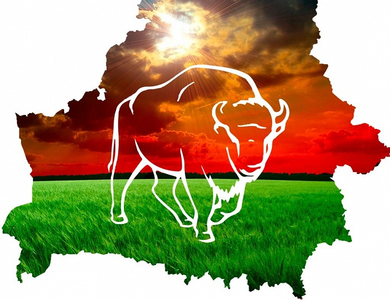 «Мая краiна — мой гонар!»: познавательный час